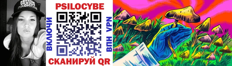 darknet Telegram  Борзя  Галлюциногенные грибы Magic Shrooms 